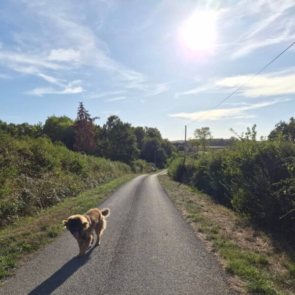 Heerlijke septemberdag ☀️😎🇨🇵